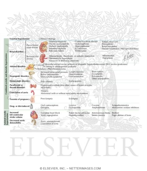 Causes of Hypertension