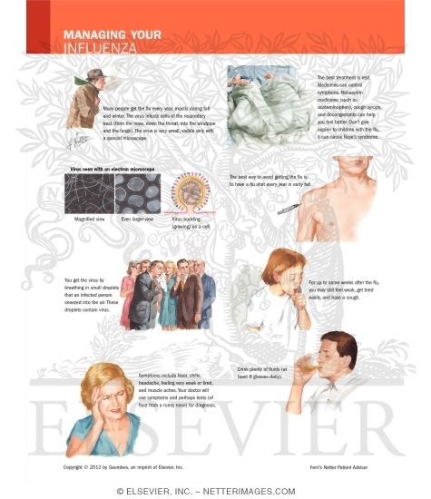 Managing Your Influenza