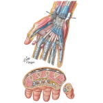 hand bursitis