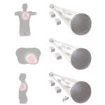 Principles of the Vectorcardiograph