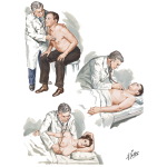 Auscultatory Positions and Areas; Events in Cardiac Cycle