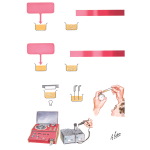 Principles of Tests for Monitoring Anticoagulant Therapy