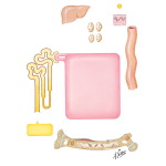 Vitamin D-Dependent (Pseudodeficiency) Rickets and Osteomalacia