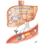 The Metabolic Pool