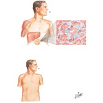Oral Antidiabetic Agents