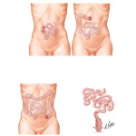 Physiology of Gastroenteric Stomas