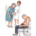 Clinical Course and Features of Primary Parkinsonism