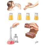 Phenolsulfonphthalein (PSP) Excretion Test