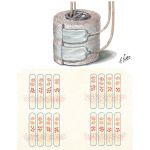Structure and Function of Twin-Coil Hemodialyzer