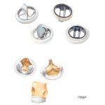 Second Generation of Synthetic Prosthetic Valves and Biologic Valves