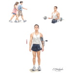 Effects of Exercise on Cardiovascular Health
