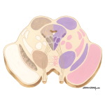 Brainstem Section (Level #12 of 14)