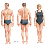 Topographic Anatomy