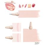 Principles of Ultrasound: Attenuation and Resolution