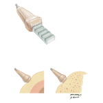 Echocardiography: Principles of Ultrasound Wave
