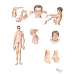 Unlabeled image
