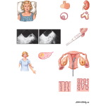 Assessment of Ovulation