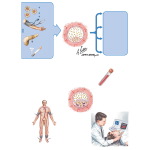 Cardiovascular Risk Prediction