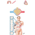 Adrenergic Drugs