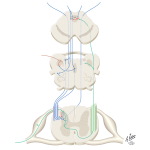Unlabeled image