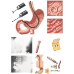 Diagnostic Evaluation 