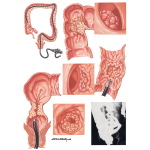 Diagnostic Techniques