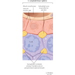 Labeled image