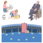 Bipolar Disorder and Compulsive Behavior