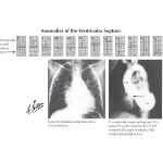 Runge Cardiology 1E image