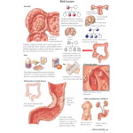 Runge IM 1E image