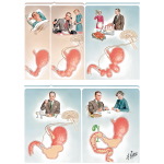 Mechanisms of Gastric Secretion