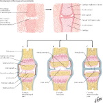 Labeled image