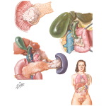 Carcinoma of the Pancreas