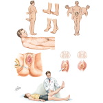 Physical Examination of the Spine