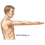 Measurement of Flexion / Extension