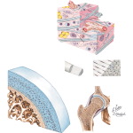 Joints and Ligaments