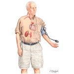 Measuring Blood Pressure