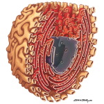 Cisternal Systems