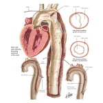 Labeled image