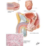 Labeled image