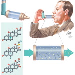 Corticosteriods: Clinical Uses