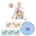 Pyrimidine Analogs: Cytarabine and Fludarabine