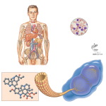 Vinca Alkaloids: Vincrisitne, Vinblastine, and Vinorelbine