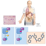 Imatinib Mesylate