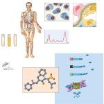 Bortezomib