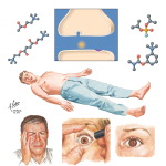 Cholinergic Drugs