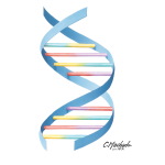 Double Helix