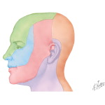 Unlabeled image