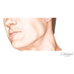 Unlabeled image