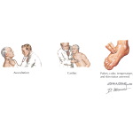 Labeled image